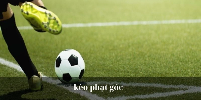Soi Kèo Phạt Góc Dễ Thắng Với Mẹo Chơi Từ Chuyên Gia QQ88 2 Các mánh chơi kèo phạt hay từ cao thủ